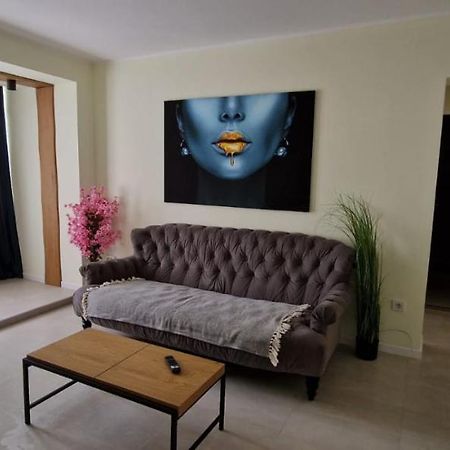 University Apartment Бая-Маре Екстер'єр фото