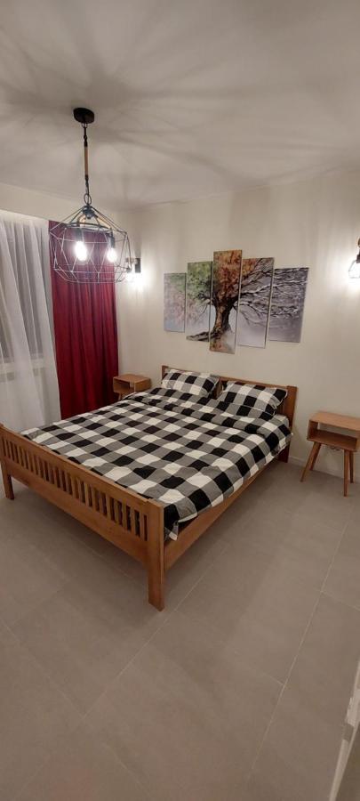 University Apartment Бая-Маре Екстер'єр фото